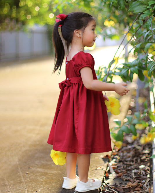 Briella dress